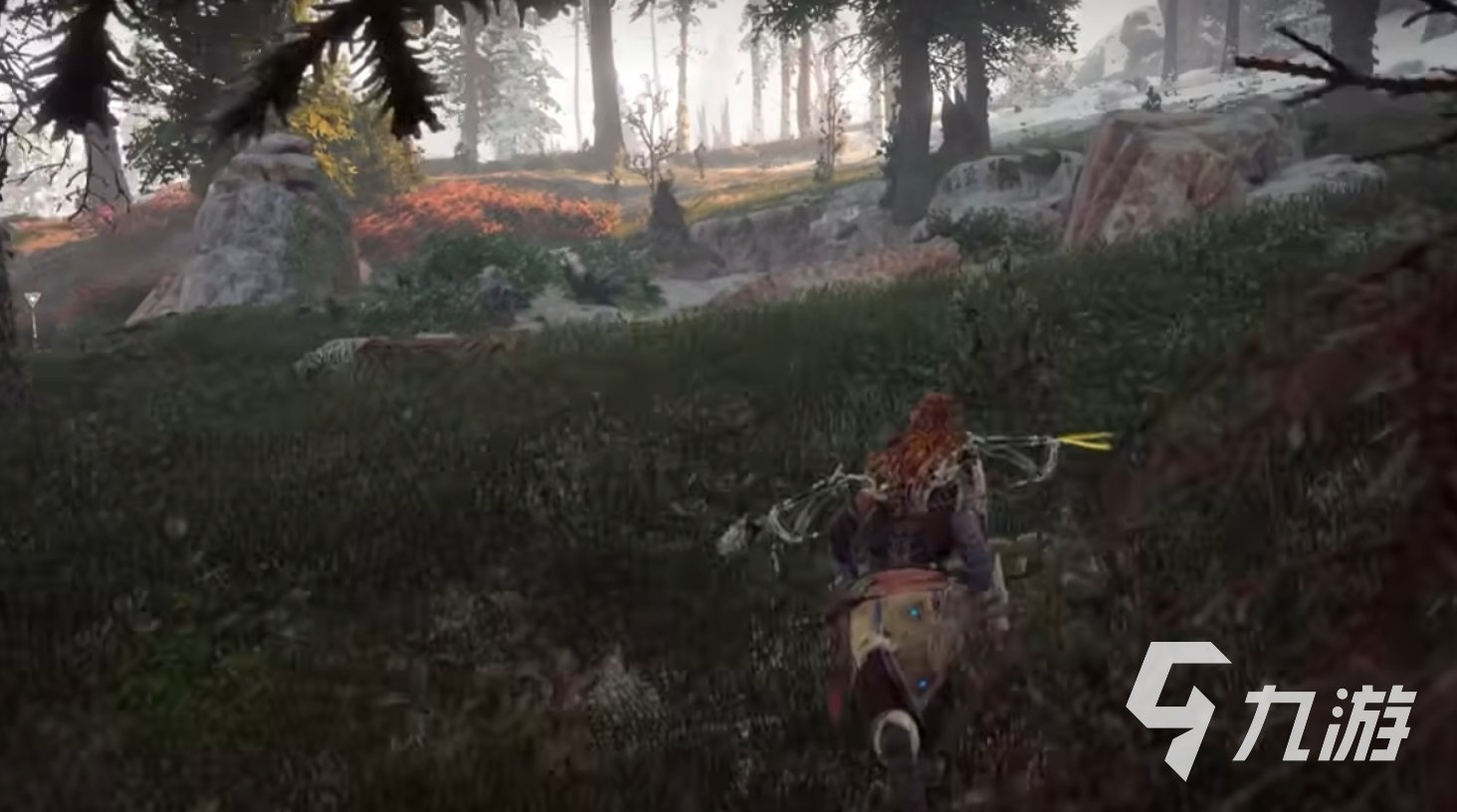 F1 2024 豪华版 截图13